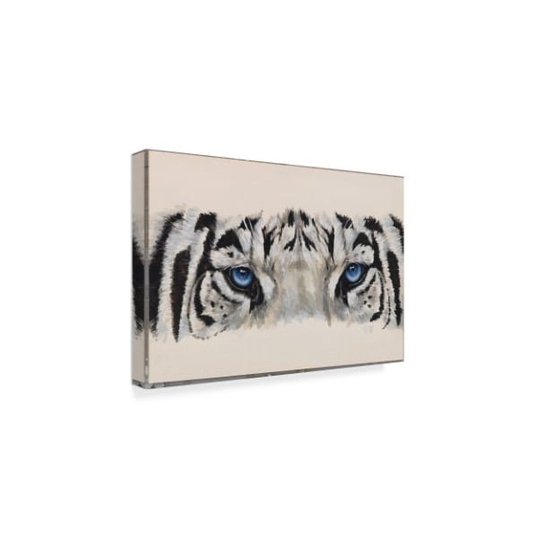 Barbara Keith 'Eye Catching White Tiger' Canvas Art,16x24